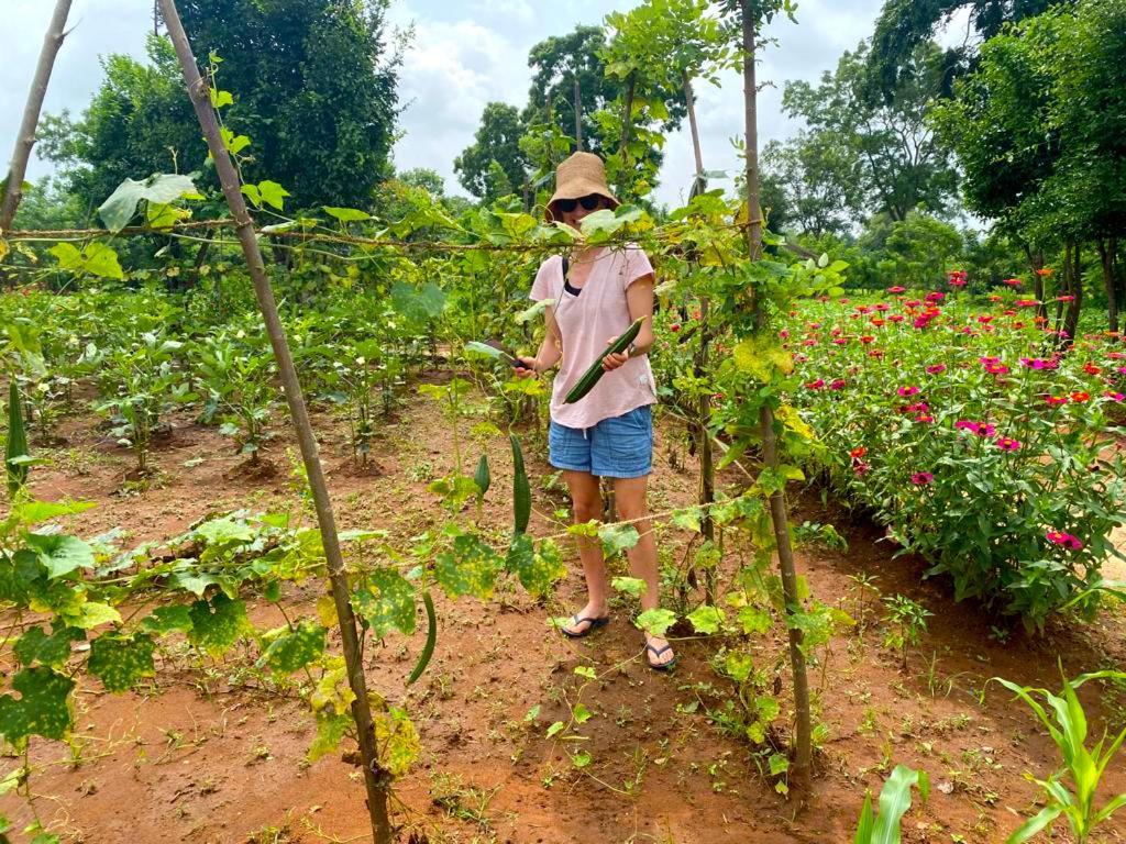 Moni Farm House Wilpattu Nochchiyagama Екстер'єр фото