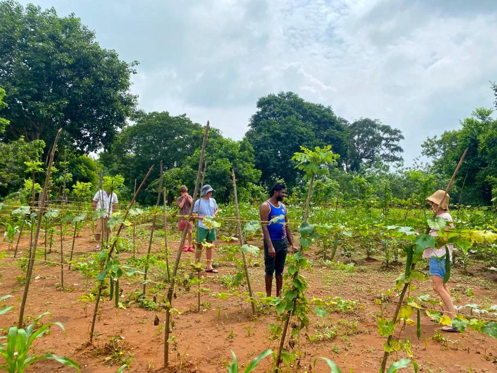 Moni Farm House Wilpattu Nochchiyagama Екстер'єр фото
