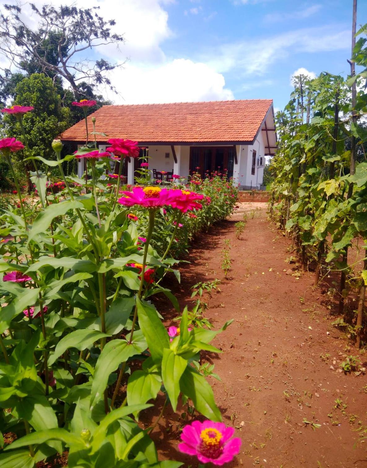 Moni Farm House Wilpattu Nochchiyagama Екстер'єр фото