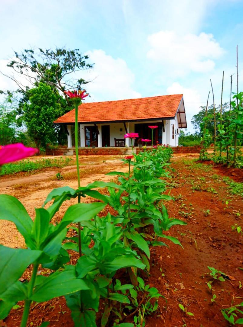 Moni Farm House Wilpattu Nochchiyagama Екстер'єр фото
