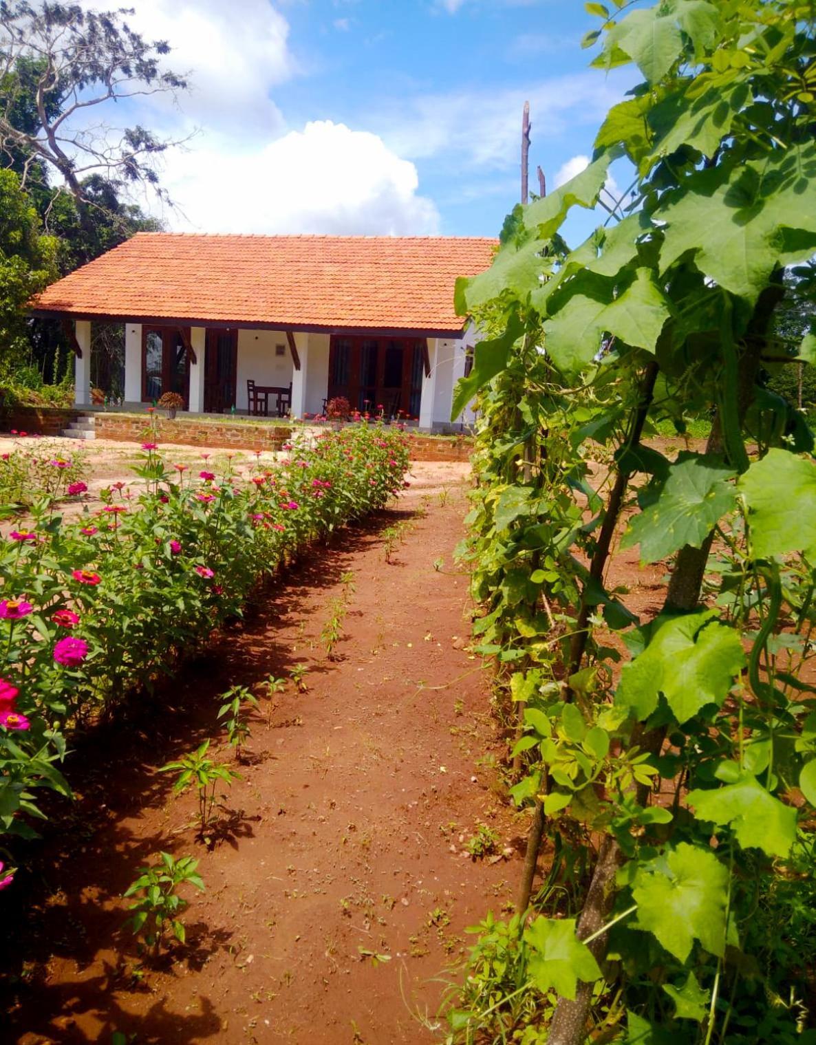Moni Farm House Wilpattu Nochchiyagama Екстер'єр фото