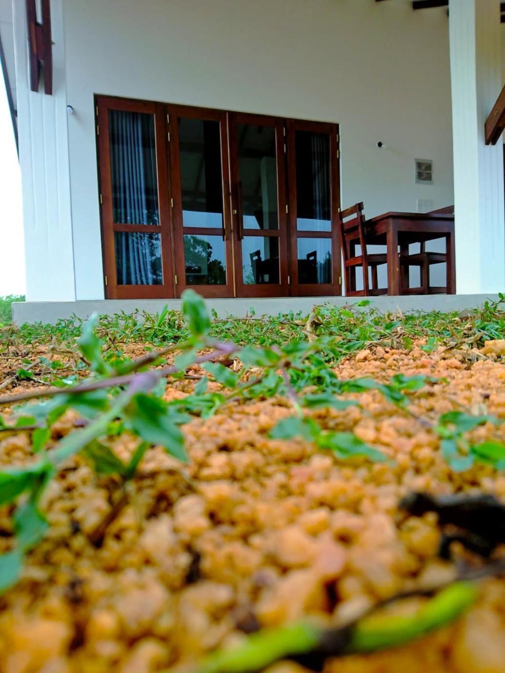 Moni Farm House Wilpattu Nochchiyagama Екстер'єр фото